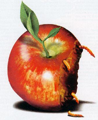 apple-rotten.jpg